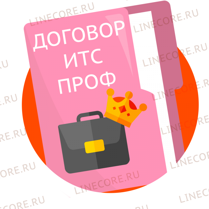 Договор ИТС ПРОФ