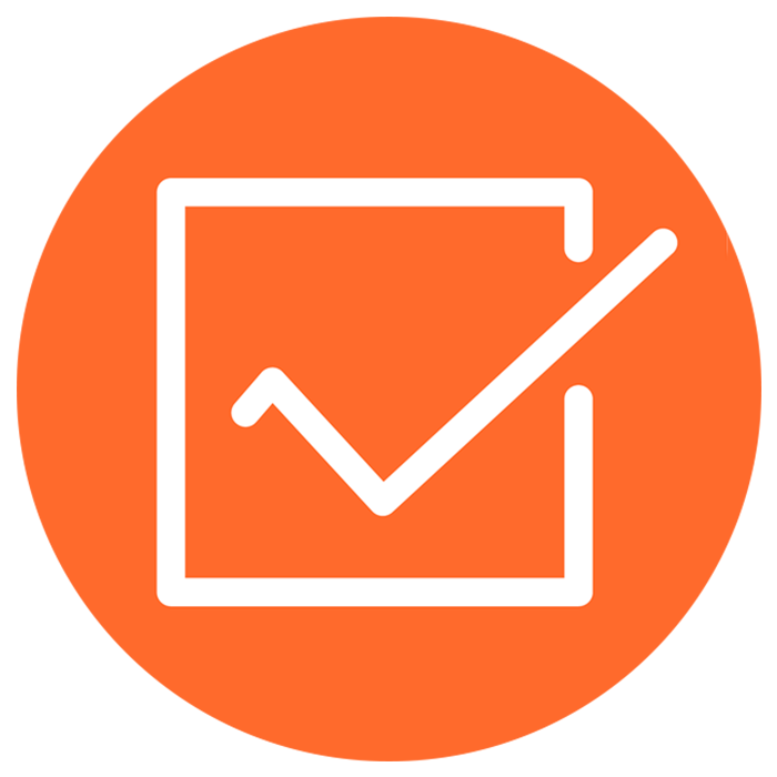 1СПАРК Риски