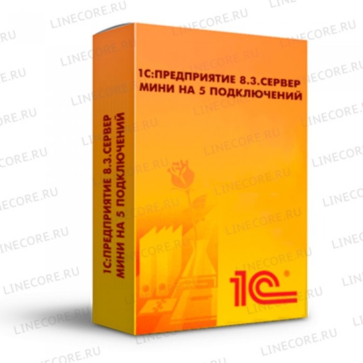 1С:Предприятие 8.3. Сервер МИНИ на 5 подключений